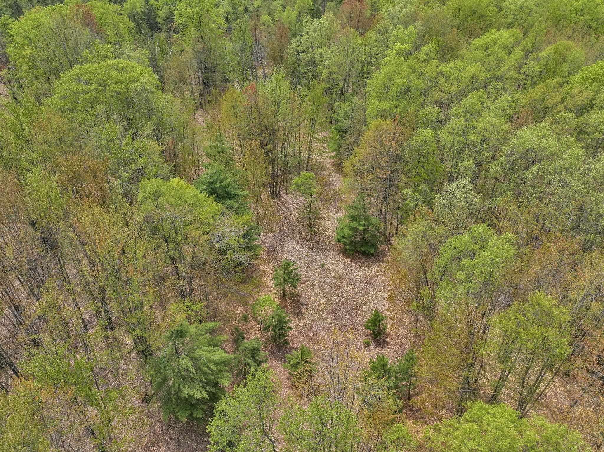 2560 South 25 Road Boon, MI 49618 - Photo 78 of 80
