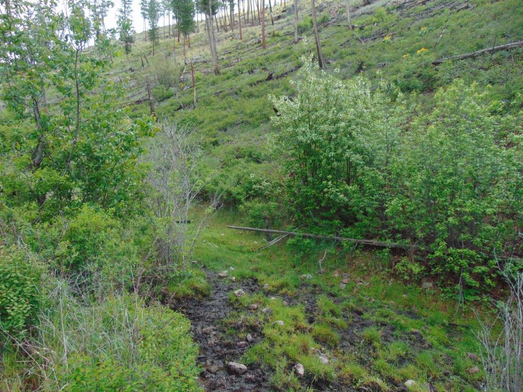 27235 Lazy Springs Road Clinton, MT 59825 - Photo 7 of 94 Gallery Image 7