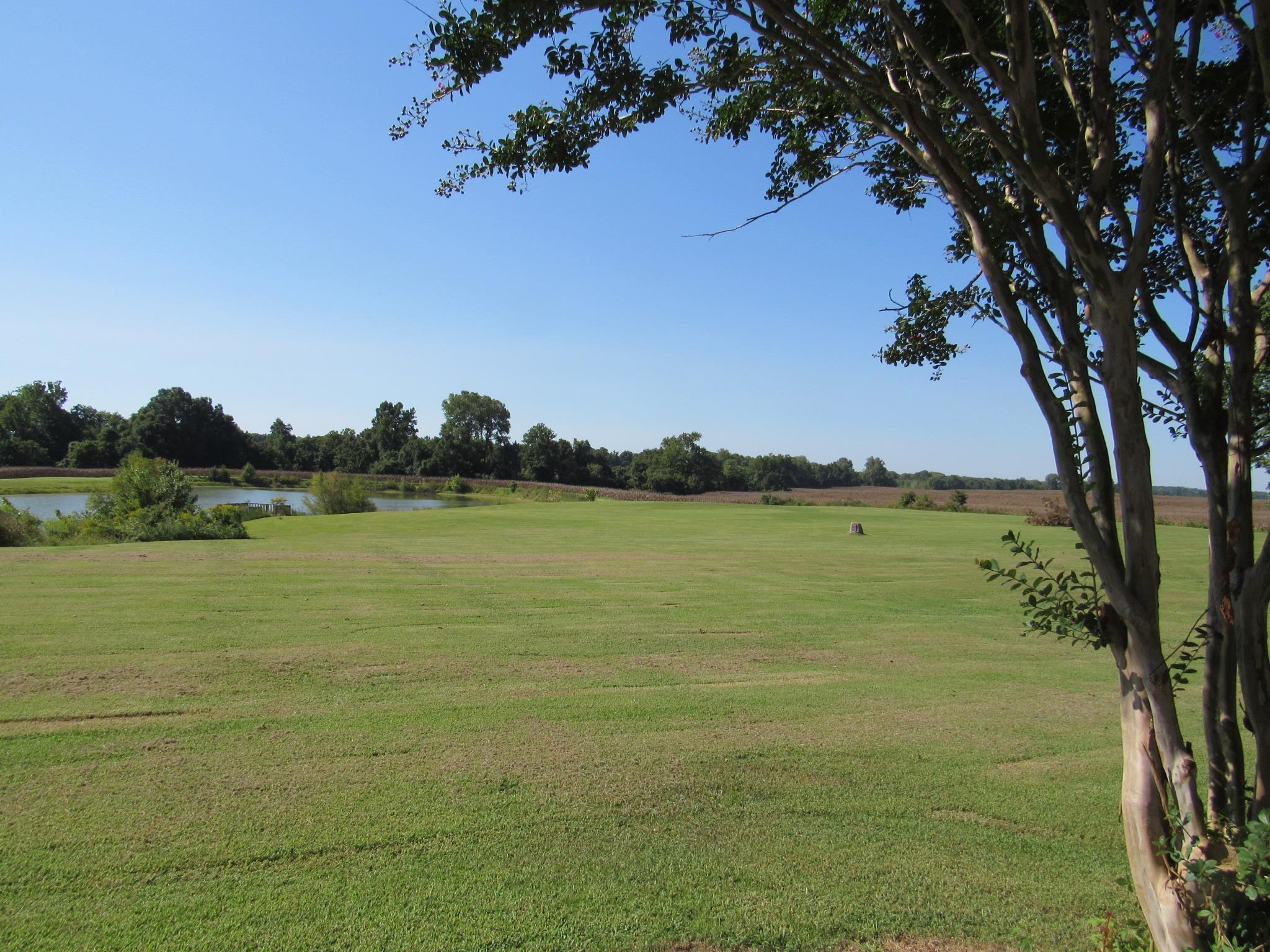 768 Detroit Road Burlison, TN 38015 - Photo 16 of 19 Gallery Image 16