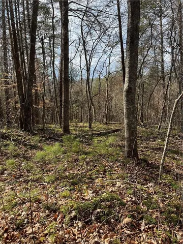 a view of outdoor space with trees