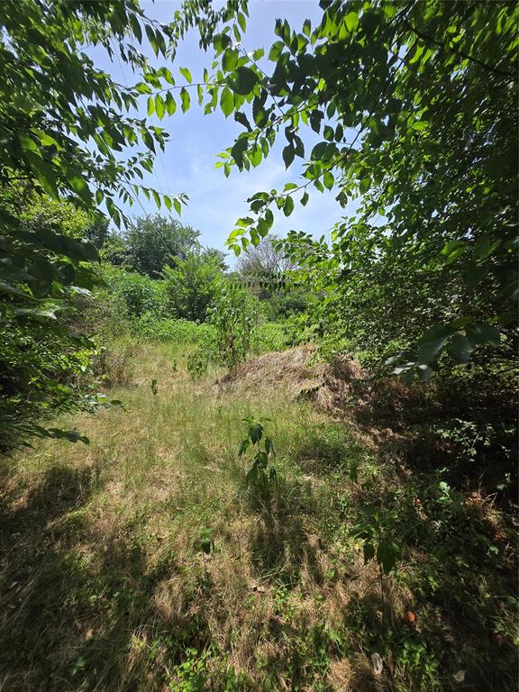 7160 Camp Street Azle, TX 76020 - Photo 6 of 10 7161 Darling St