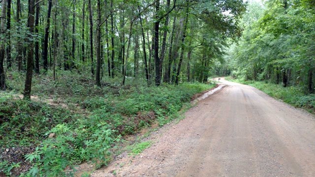 Lot 7 Childs Road, Unit 7A Macon, GA 31217 - Photo 1 of 2 a view of a green field with trees in the background