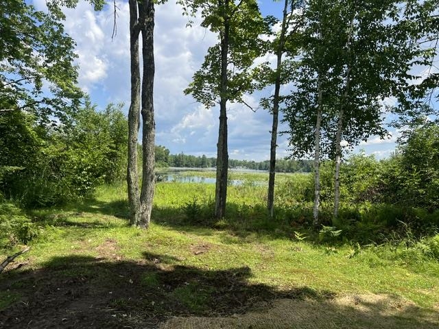 17560 Bass Point Lane Townsend, WI 54175 - Photo 10 of 35