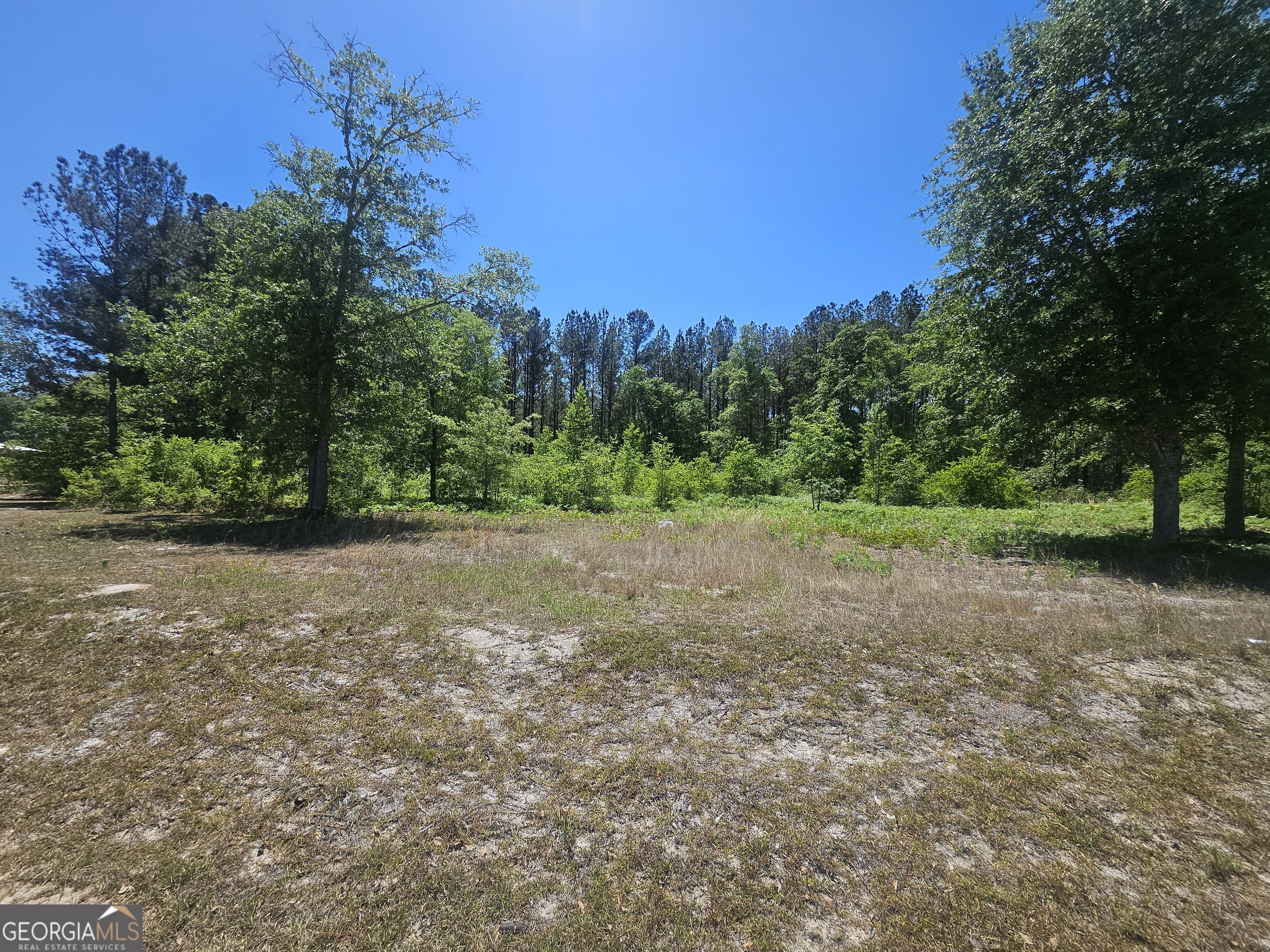 0 Edgar Lane Road Millen, GA 30442 - Photo 2 of 6
