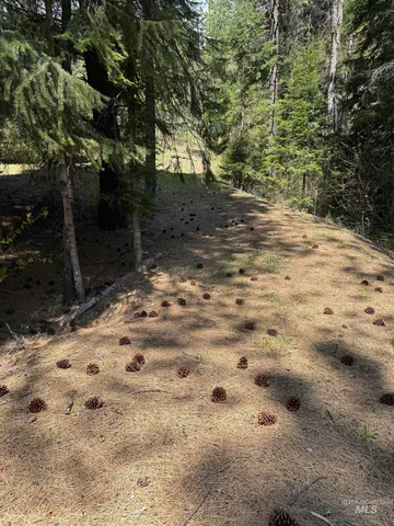 $625,000 | 2857 Hillman Basin Road, New Meadows, ID 83654