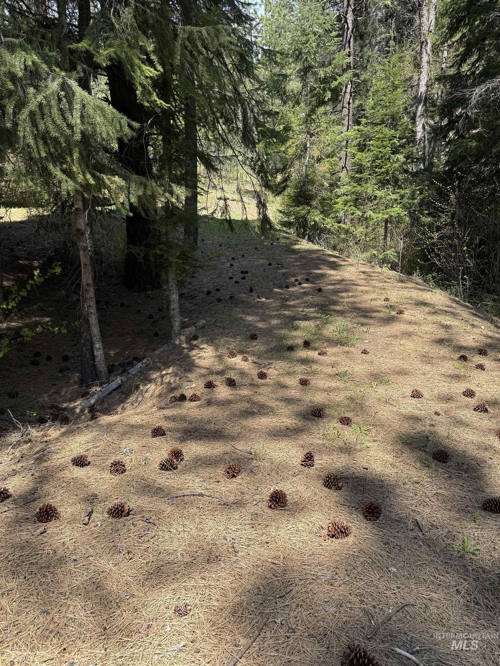 2857 Hillman Basin Road New Meadows, ID 83654 - Photo 16 of 36