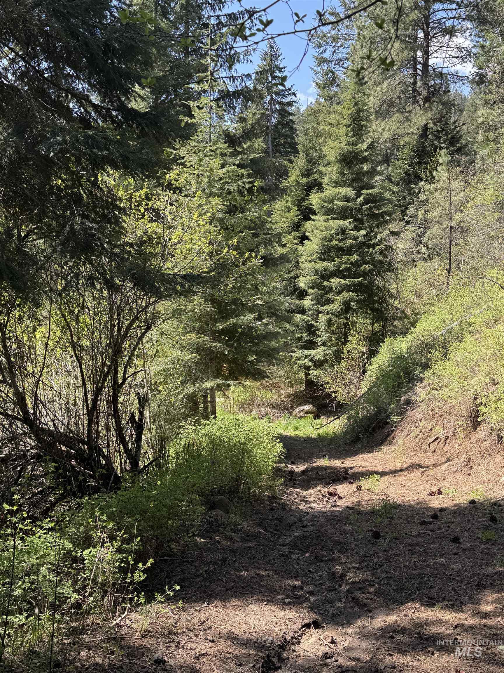 2857 Hillman Basin Road New Meadows, ID 83654 - Photo 27 of 36