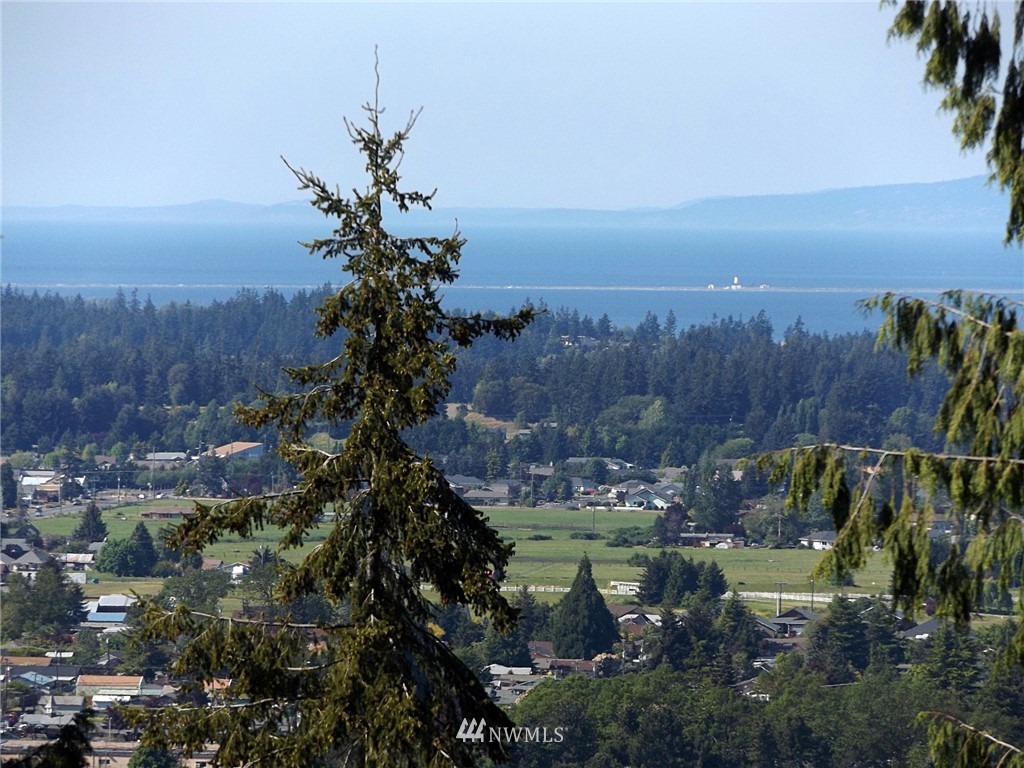 9999 Fox Hollow Road Sequim, WA 98382 - Photo 2 of 25