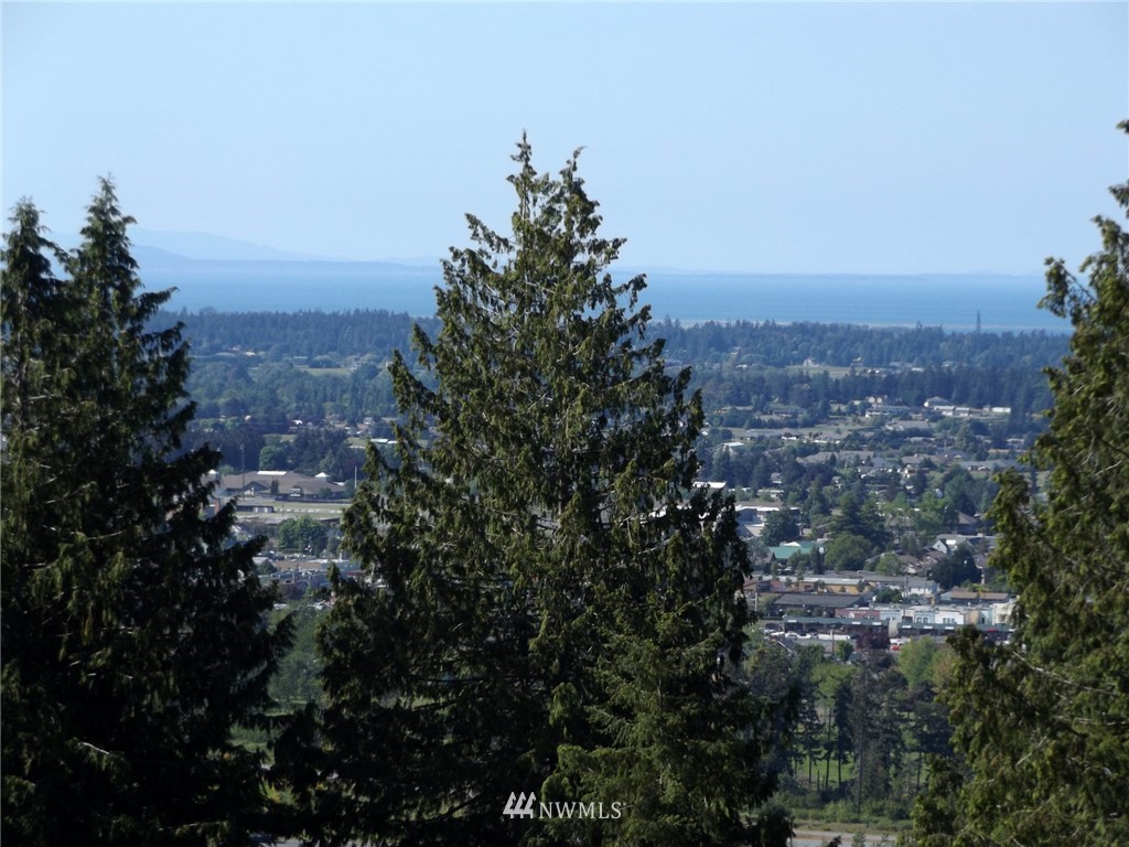 9999 Fox Hollow Road Sequim, WA 98382 - Photo 14 of 25