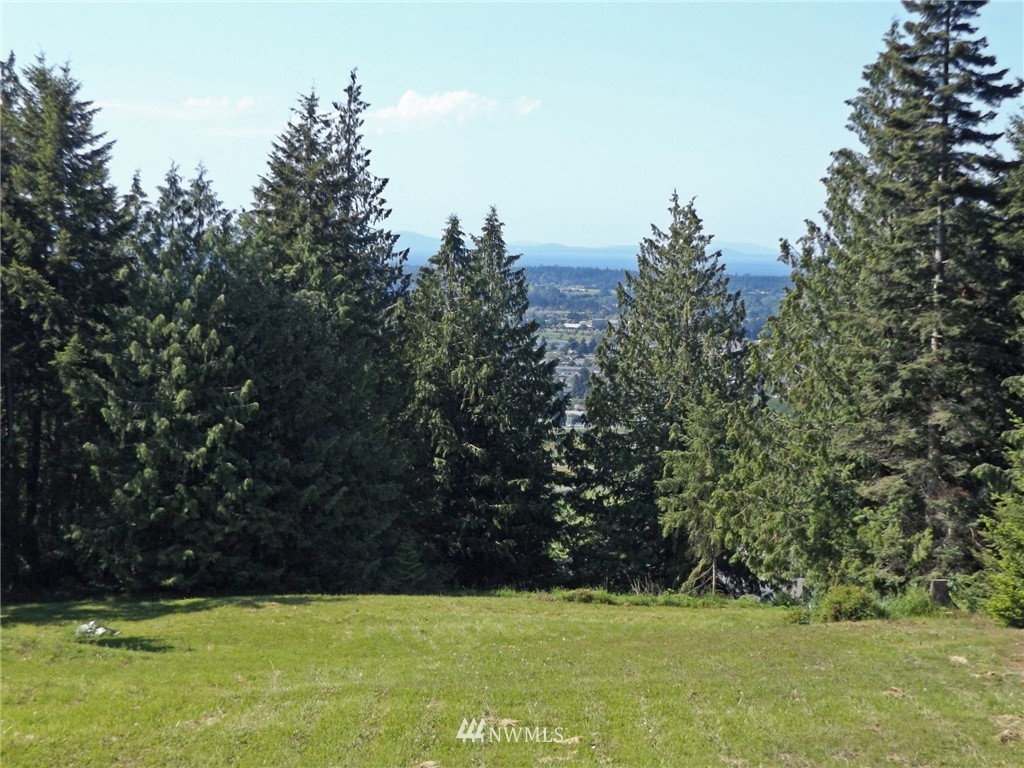 9999 Fox Hollow Road Sequim, WA 98382 - Photo 21 of 25