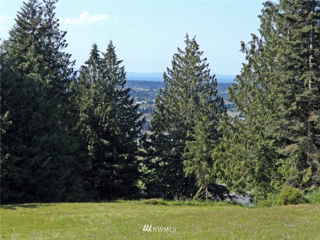 9999 Fox Hollow Road Sequim, WA 98382 - Photo 22 of 25