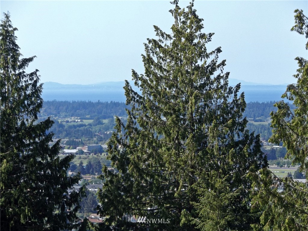 9999 Fox Hollow Road Sequim, WA 98382 - Photo 23 of 25