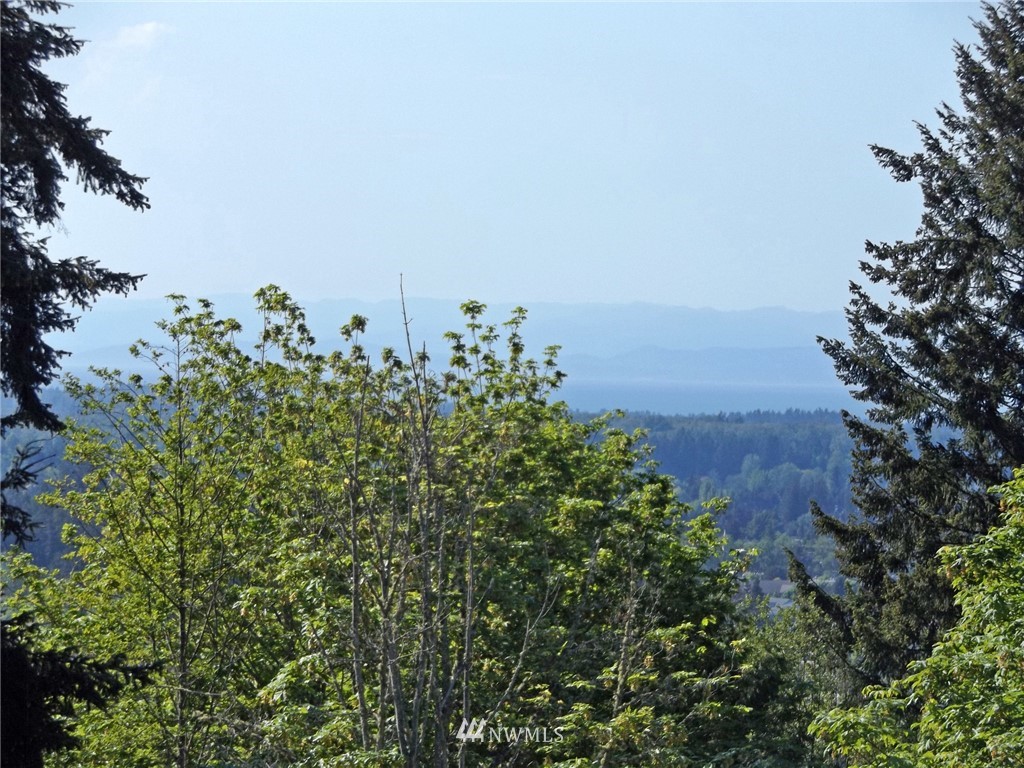 9999 Fox Hollow Road Sequim, WA 98382 - Photo 24 of 25