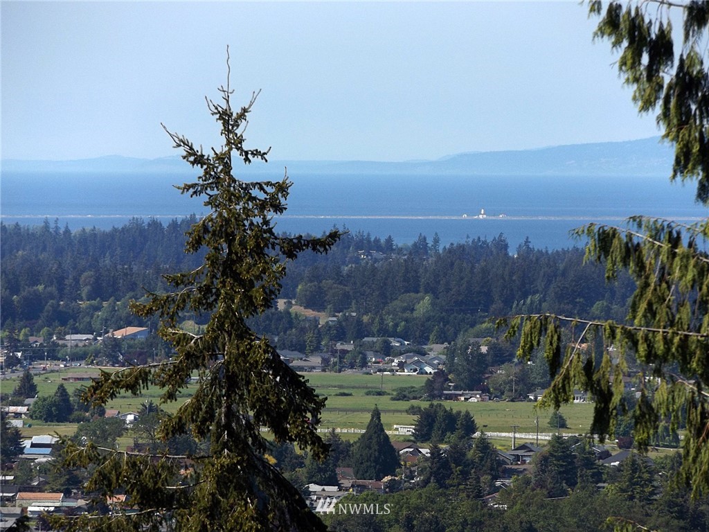9999 Fox Hollow Road Sequim, WA 98382 - Photo 25 of 25