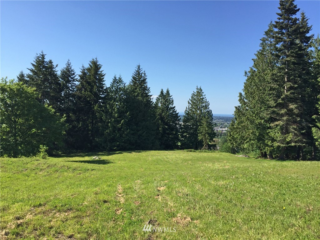 9999 Fox Hollow Road Sequim, WA 98382 - Photo 7 of 25