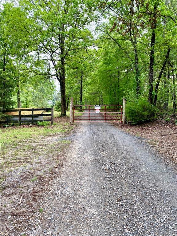 169 Williams Road Taylorsville, GA 30178 - Photo 36 of 84 a view of a yard with large trees