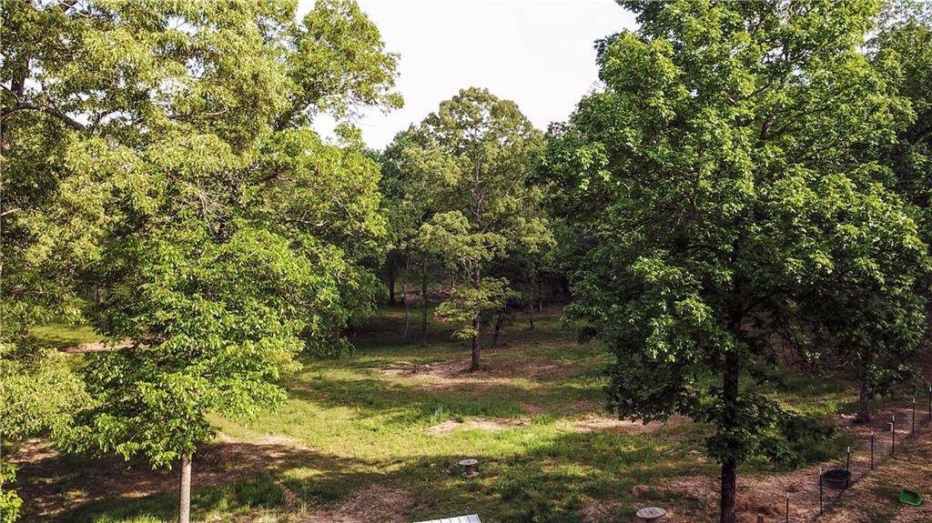 169 Williams Road Taylorsville, GA 30178 - Photo 66 of 84 a view of a tree in a yard