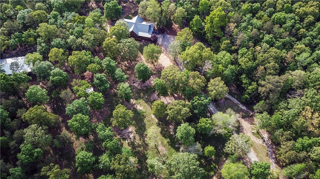 169 Williams Road Taylorsville, GA 30178 - Photo 69 of 84 an aerial view of residential house with outdoor space and trees all around