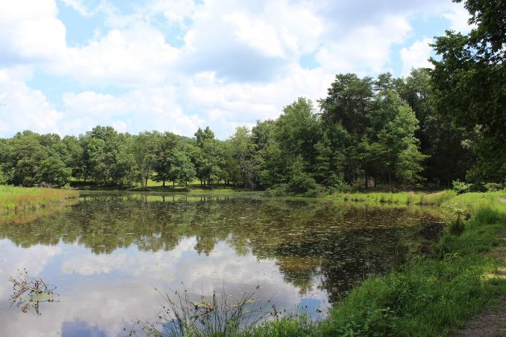 1021 Blue Lick Road Berea, KY 40403 - Photo 26 of 34 Photo 26