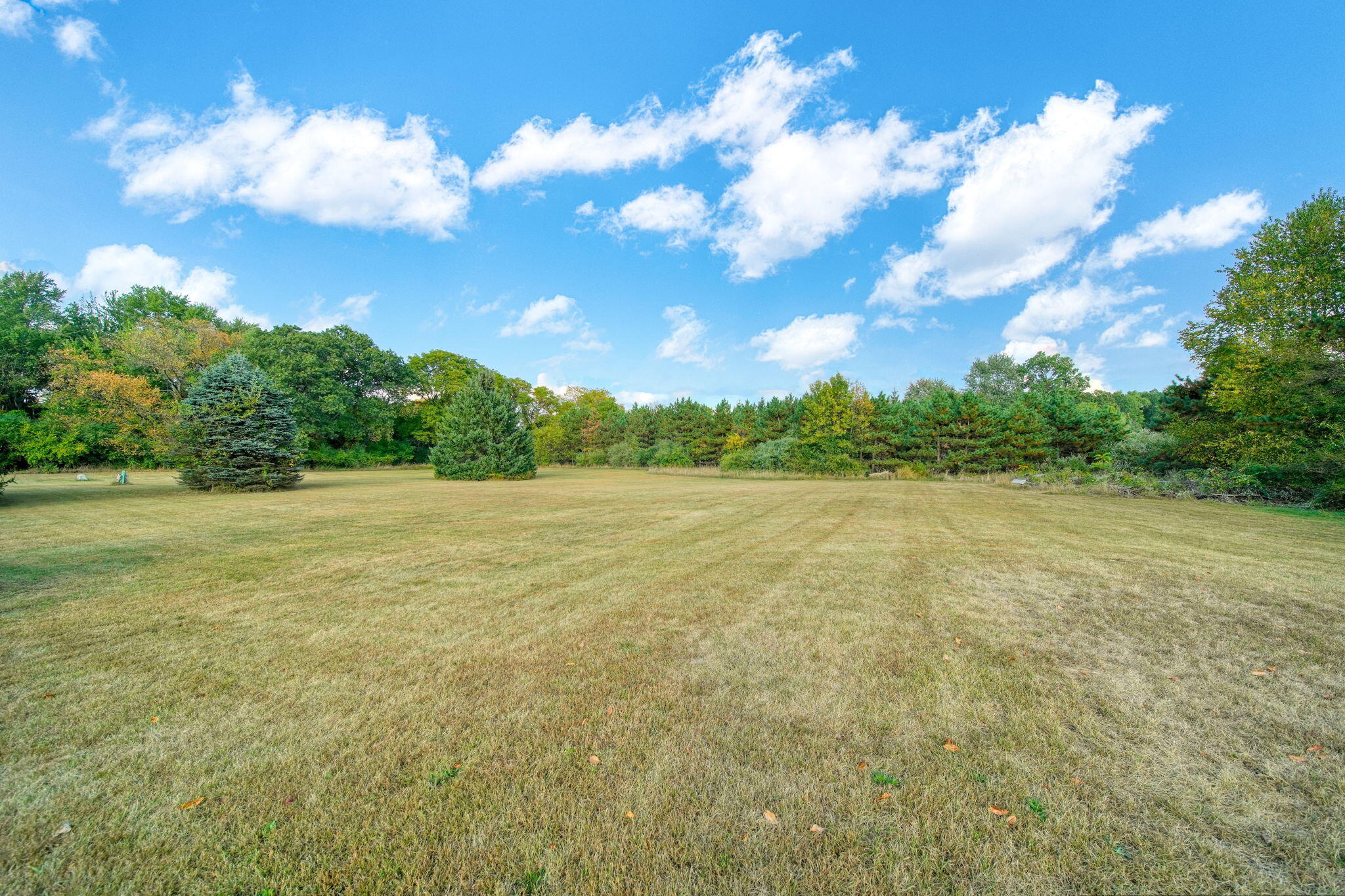 9857 Beeman Road Chelsea, MI 48118 - Photo 46 of 53 46-web-or-mls-DSC01576_HDR