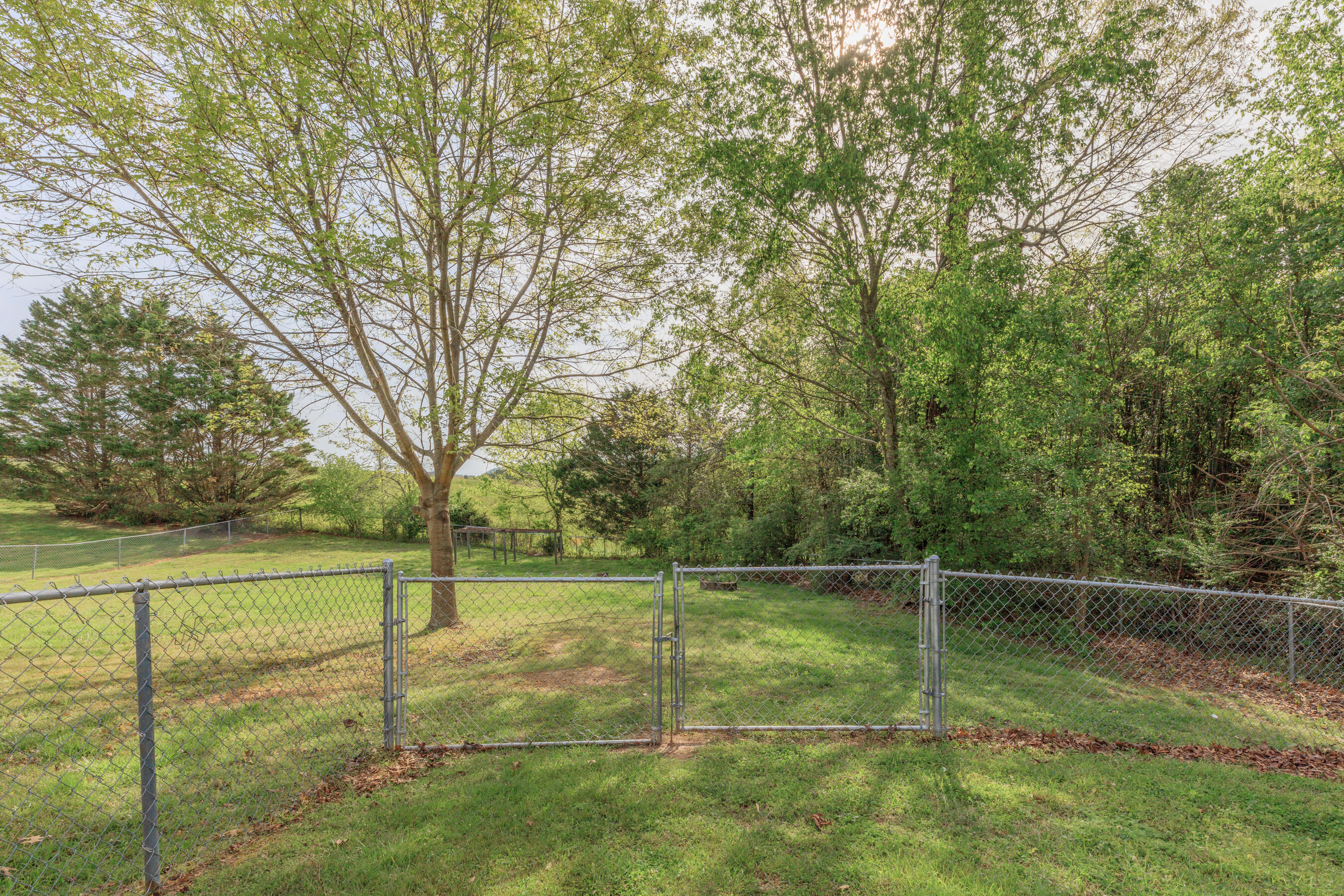 489 Misty Ridge Lane Ringgold, GA 30736 - Photo 7 of 38 489 Misty Ridge HD-9