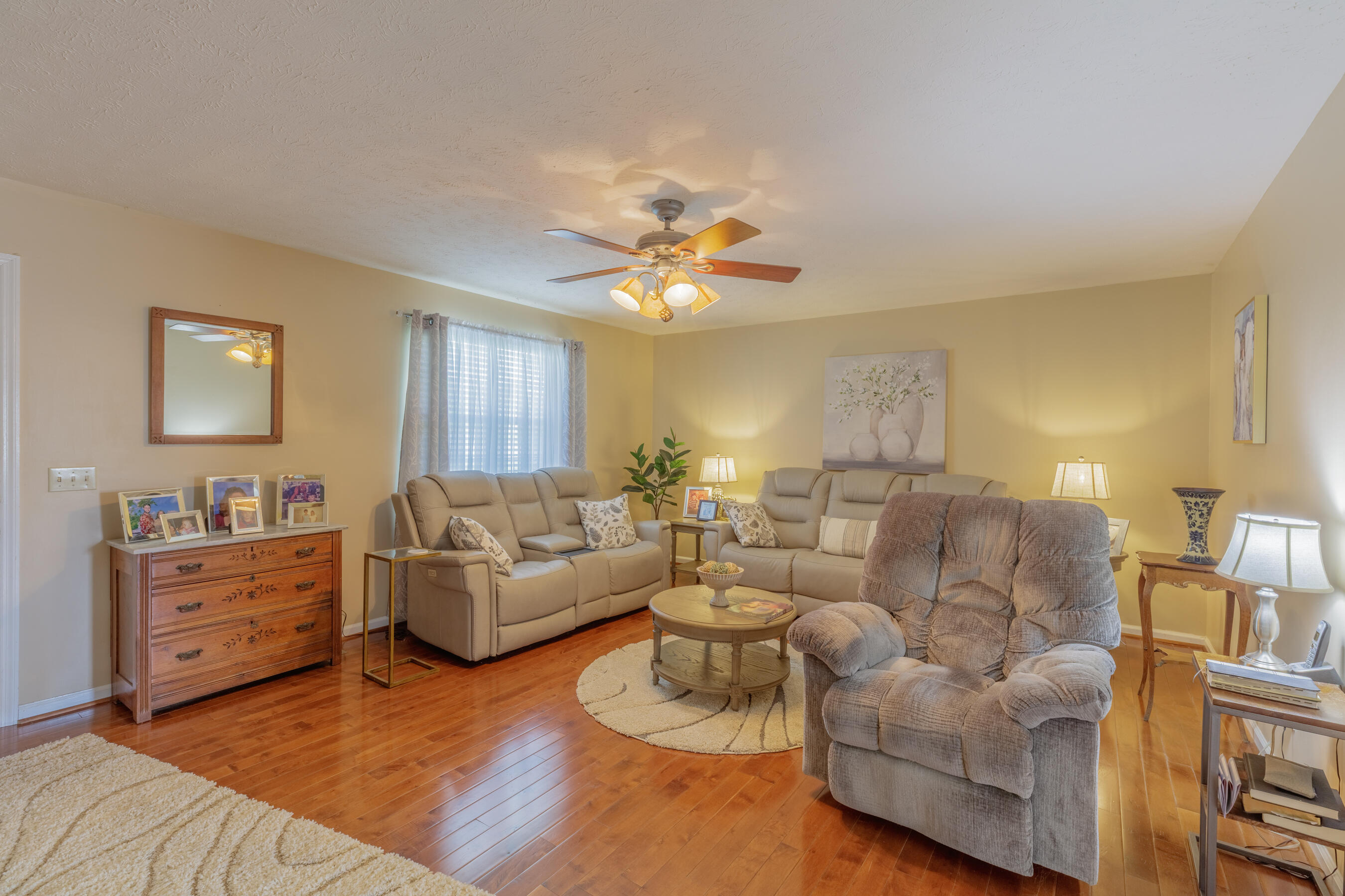 489 Misty Ridge Lane Ringgold, GA 30736 - Photo 10 of 38 489 Misty Ridge HD-19