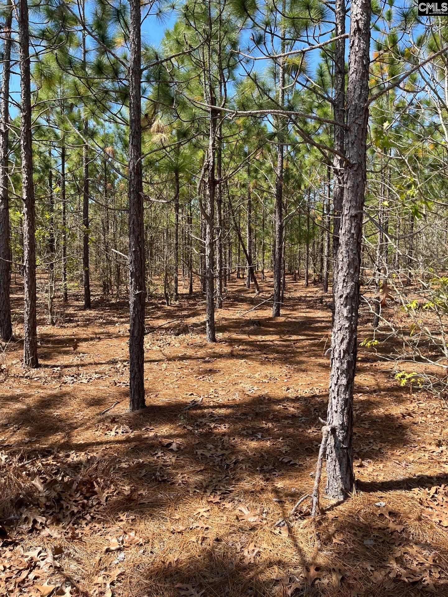 5 Beaver Dam Road Cassatt, SC 29032 - Photo 16 of 17