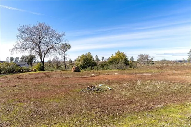 a view of dirt field with trees