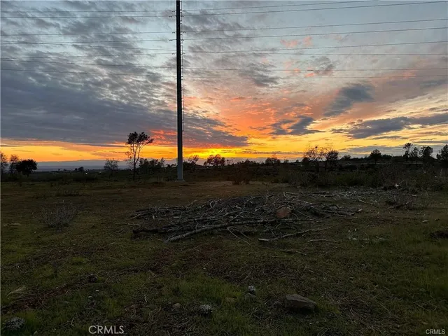 a view of a back yard
