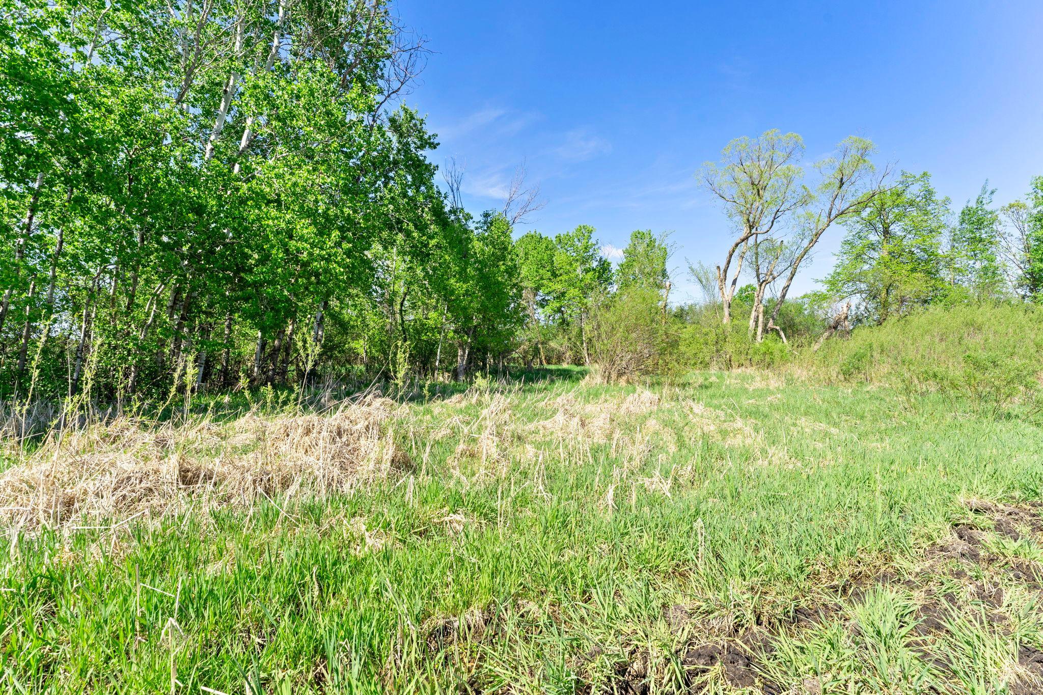 0 Xenon Road Northwest Dalbo, MN 55017 - Photo 9 of 29