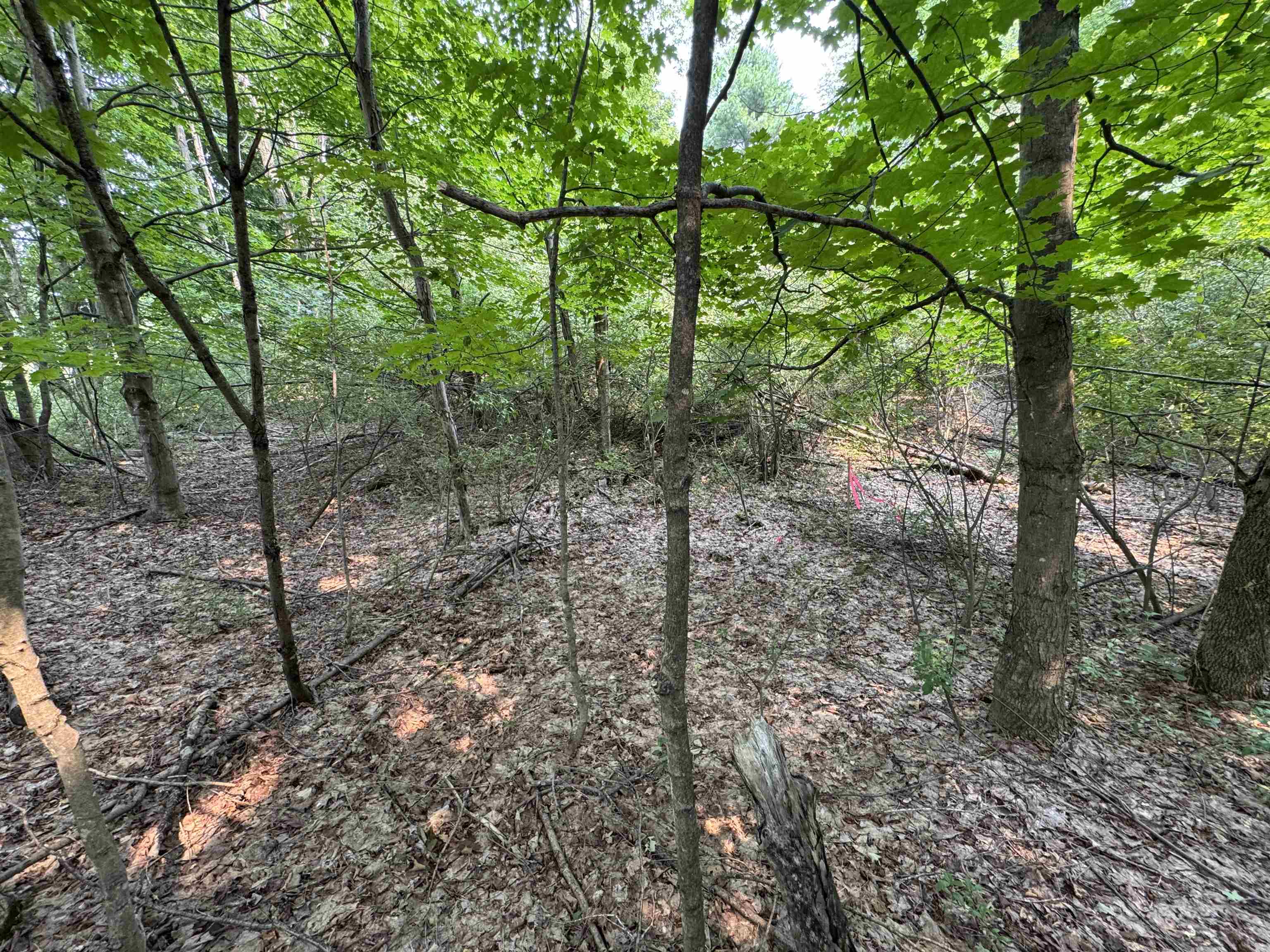 Lot #2 East Bellinger Road, Unit BELLINGER ESTATES Cedar, MI 49621 - Photo 11 of 19