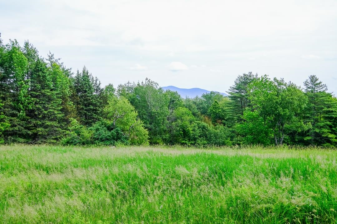 0 East Road Cavendish, VT 05142 - Photo 2 of 10