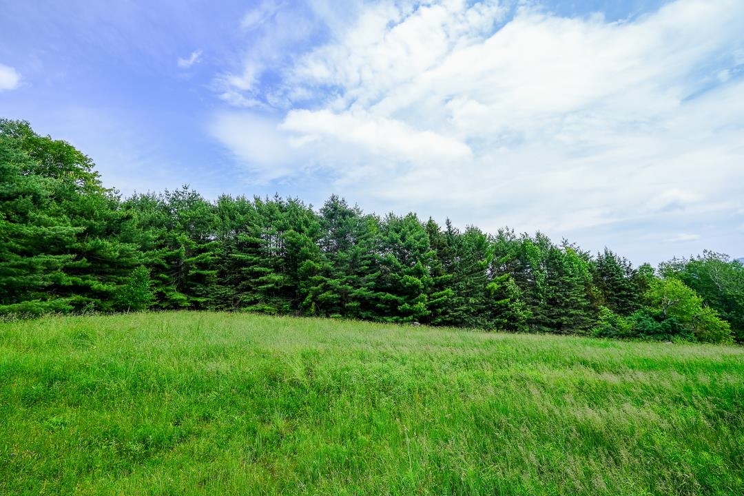 0 East Road Cavendish, VT 05142 - Photo 4 of 10