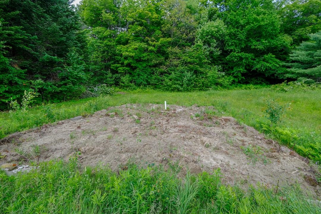 0 East Road Cavendish, VT 05142 - Photo 7 of 10