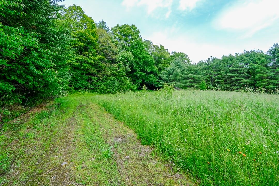 0 East Road Cavendish, VT 05142 - Photo 8 of 10