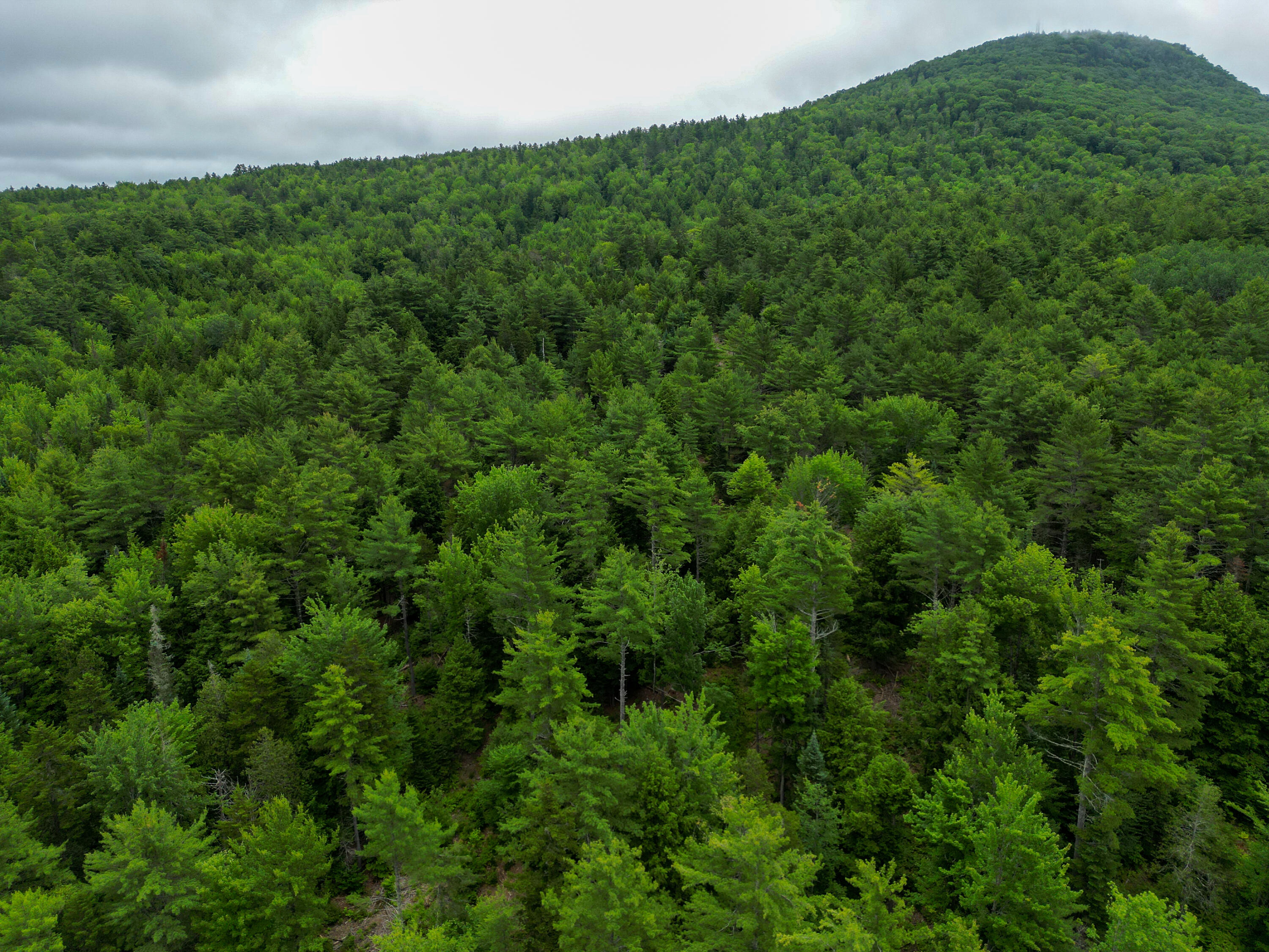 Lot 30 Irish Neighborhood Road Bethel, ME 04217 - Photo 10 of 24 DJI_0615