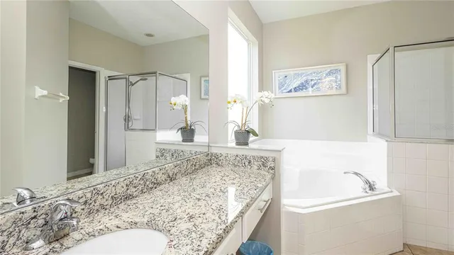 a bathroom with a tub sink and mirror