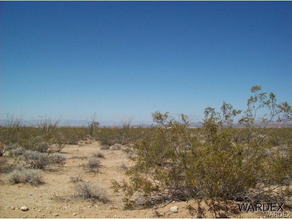 866810 South Cherry Road Yucca, AZ 86438 - Photo 1 of 12