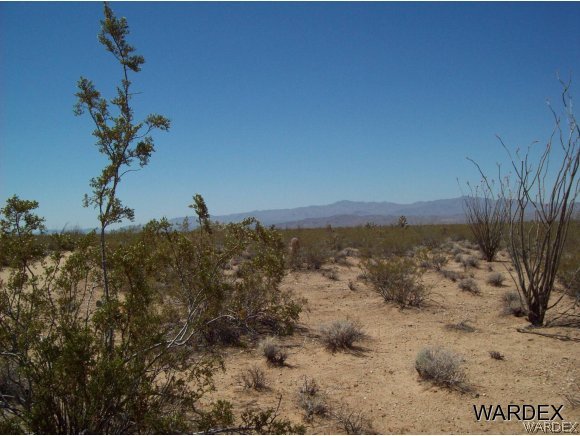 866810 South Cherry Road Yucca, AZ 86438 - Photo 11 of 12 variety of vegetation