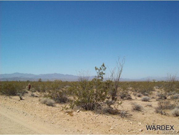 866810 South Cherry Road Yucca, AZ 86438 - Photo 2 of 12 southwest