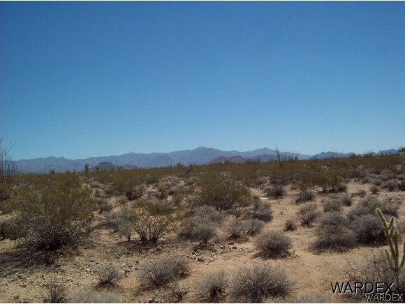866810 South Cherry Road Yucca, AZ 86438 - Photo 5 of 12 east