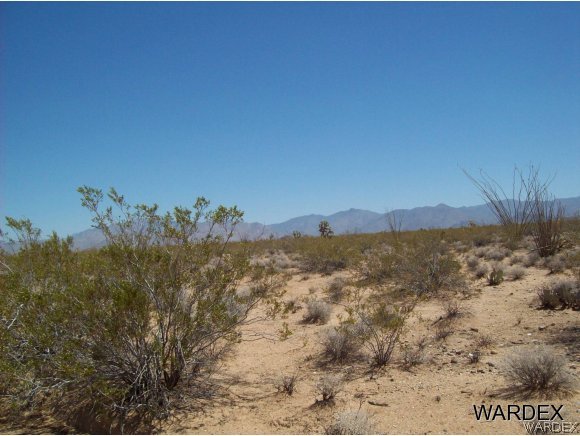 866810 South Cherry Road Yucca, AZ 86438 - Photo 7 of 12 northeast
