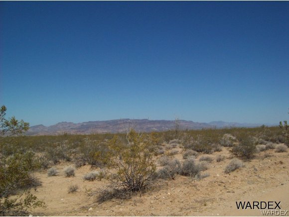 866810 South Cherry Road Yucca, AZ 86438 - Photo 10 of 12 northwest