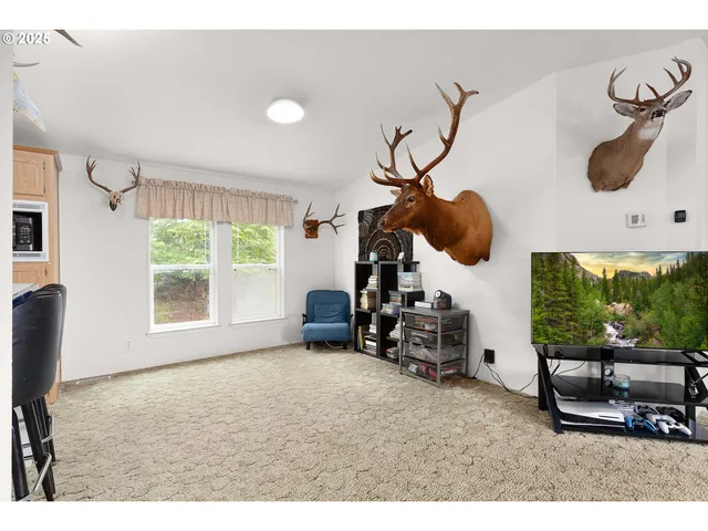 a view of livingroom with furniture windows and a ceiling fan