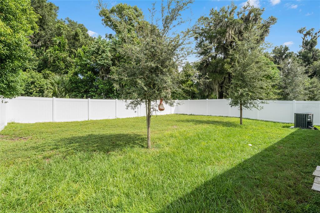 175 East Fiesta Key Loop DeLand, FL 32720 - Photo 4 of 40 No Rear Neighbor