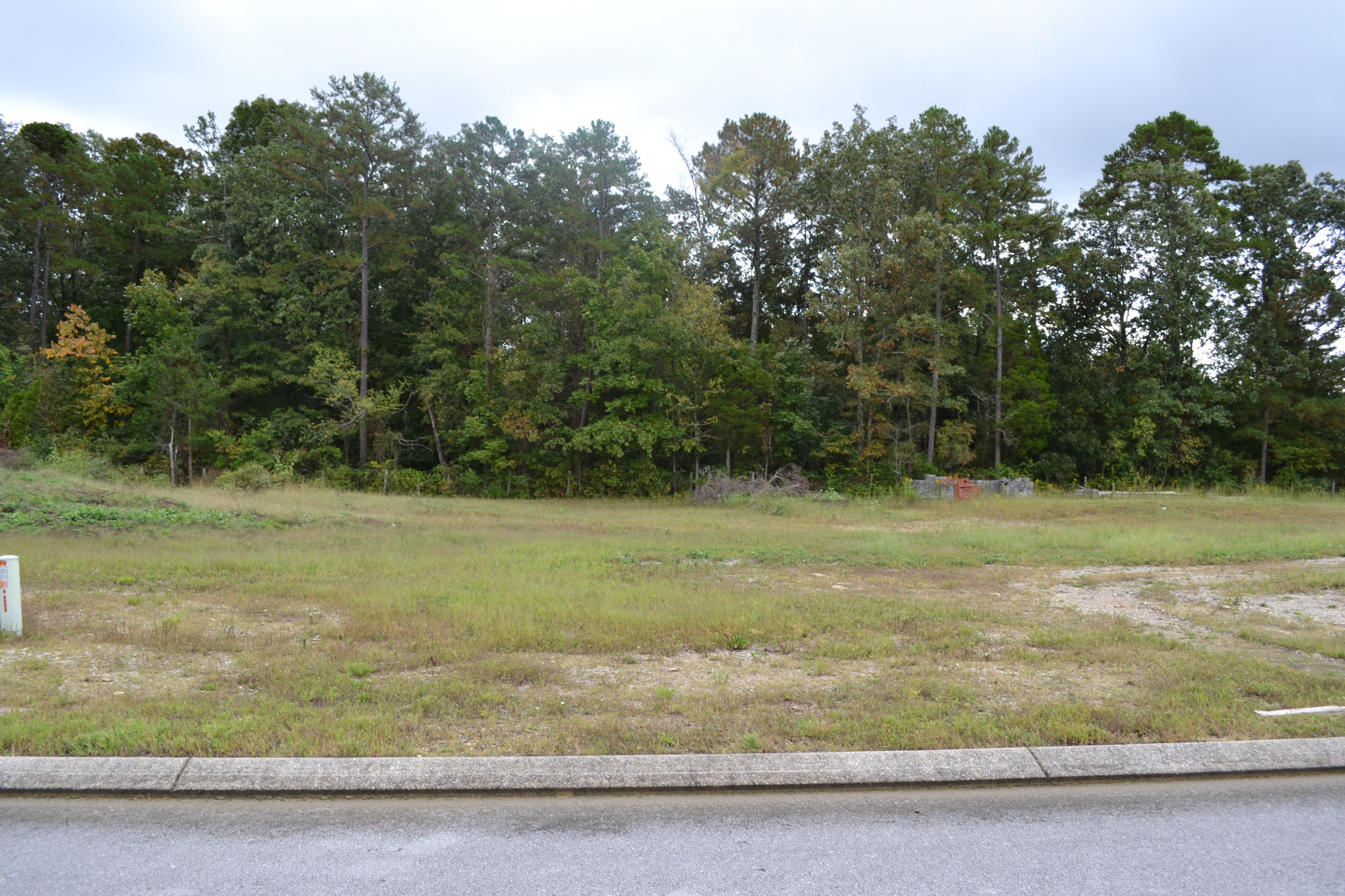 0 Rivendell Lane Chattanooga, TN 37421 - Photo 7 of 10 DSC_0375