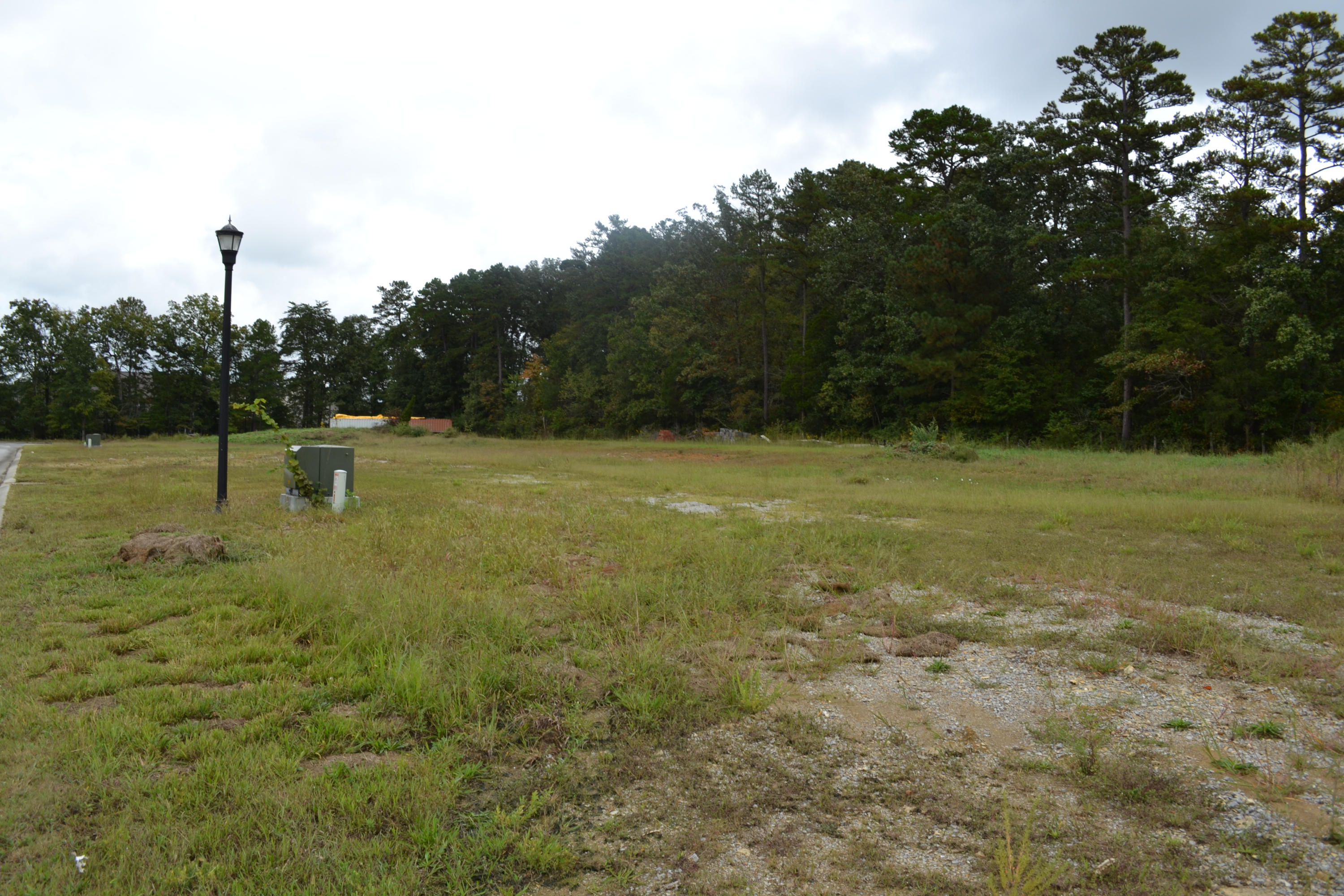 0 Rivendell Lane Chattanooga, TN 37421 - Photo 8 of 10 DSC_0376
