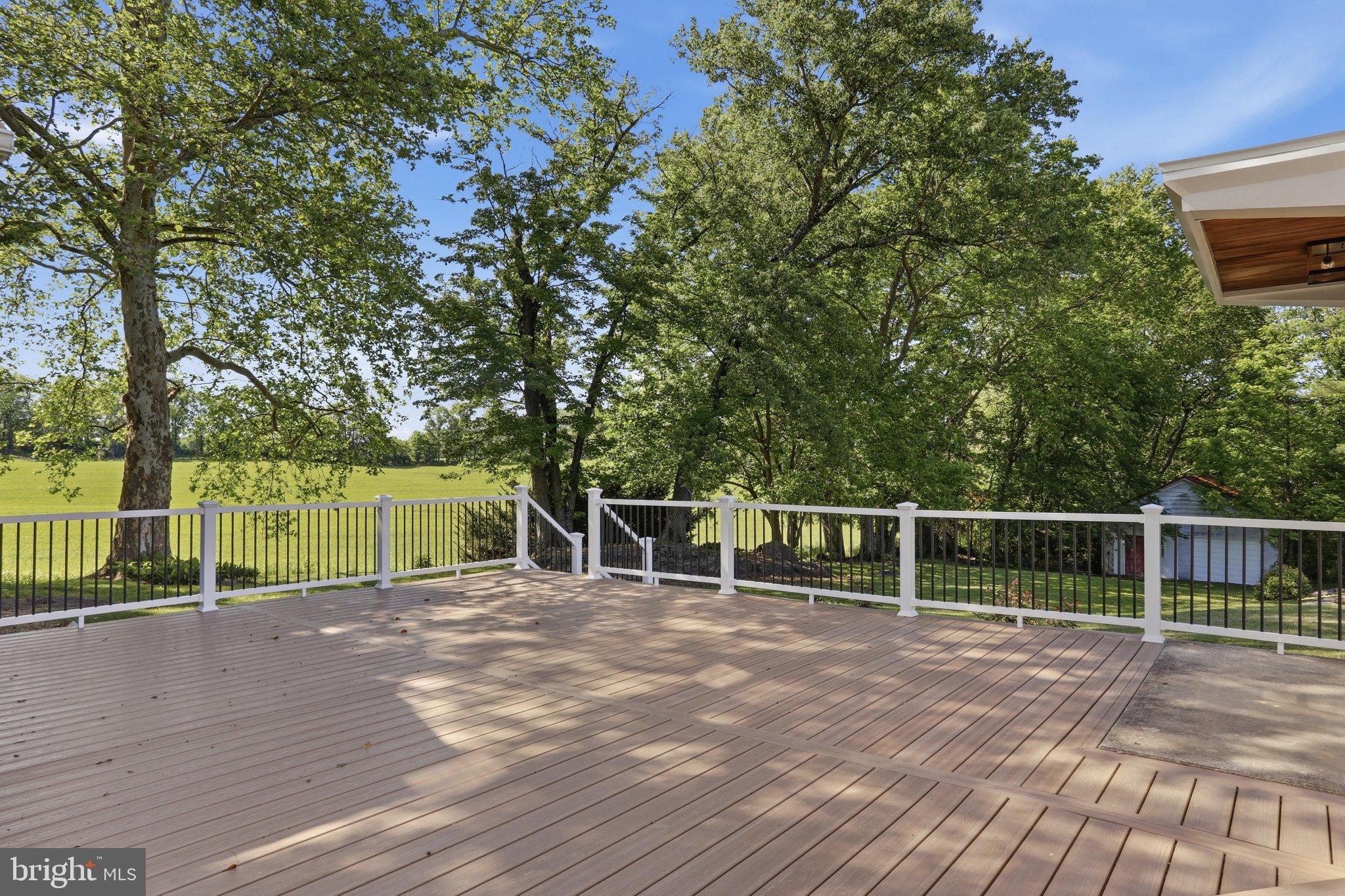 8805 Reichard Road Fairplay, MD 21733 - Photo 56 of 77 Spacious deck with serene green views.