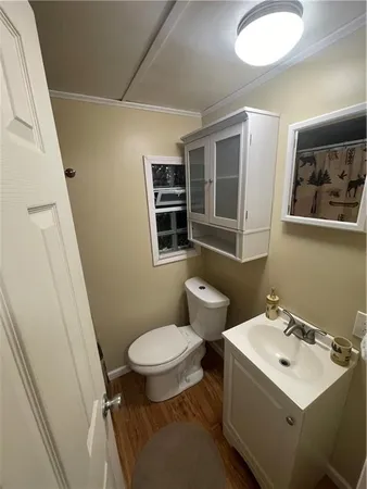 a view of a yard with trees