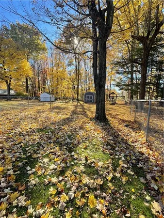 a view of a house with a large tree in front of it